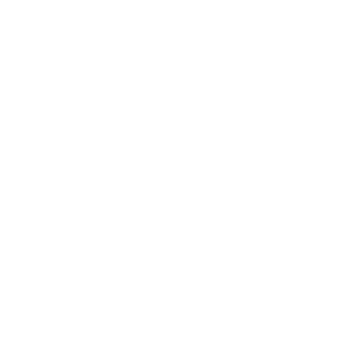 ZINDABA ZULU